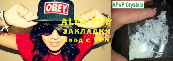 хмурый Абаза