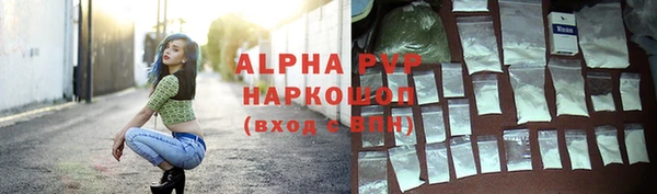 хмурый Абаза