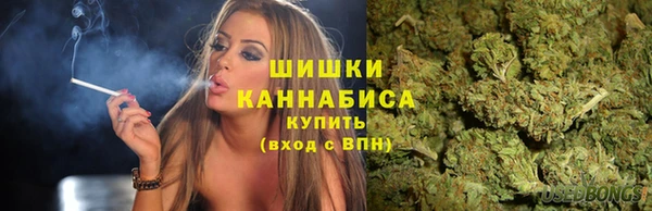 хмурый Абаза